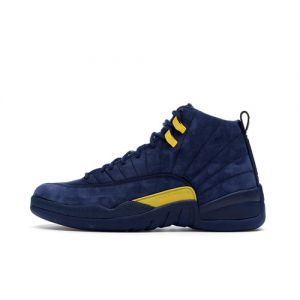 fake jordan 12 twist