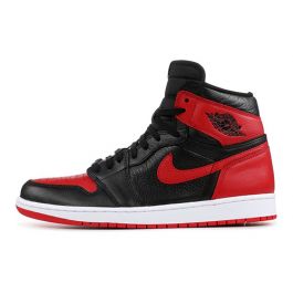 jordan 1 homage to home size 9